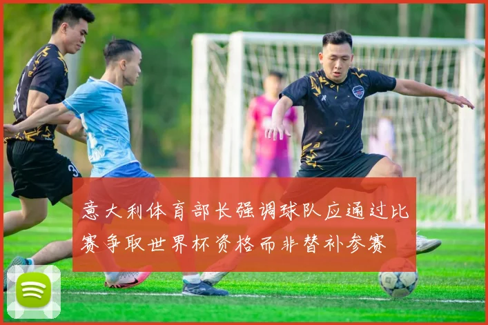 意大利体育部长强调球队应通过比赛争取世界杯资格而非替补参赛